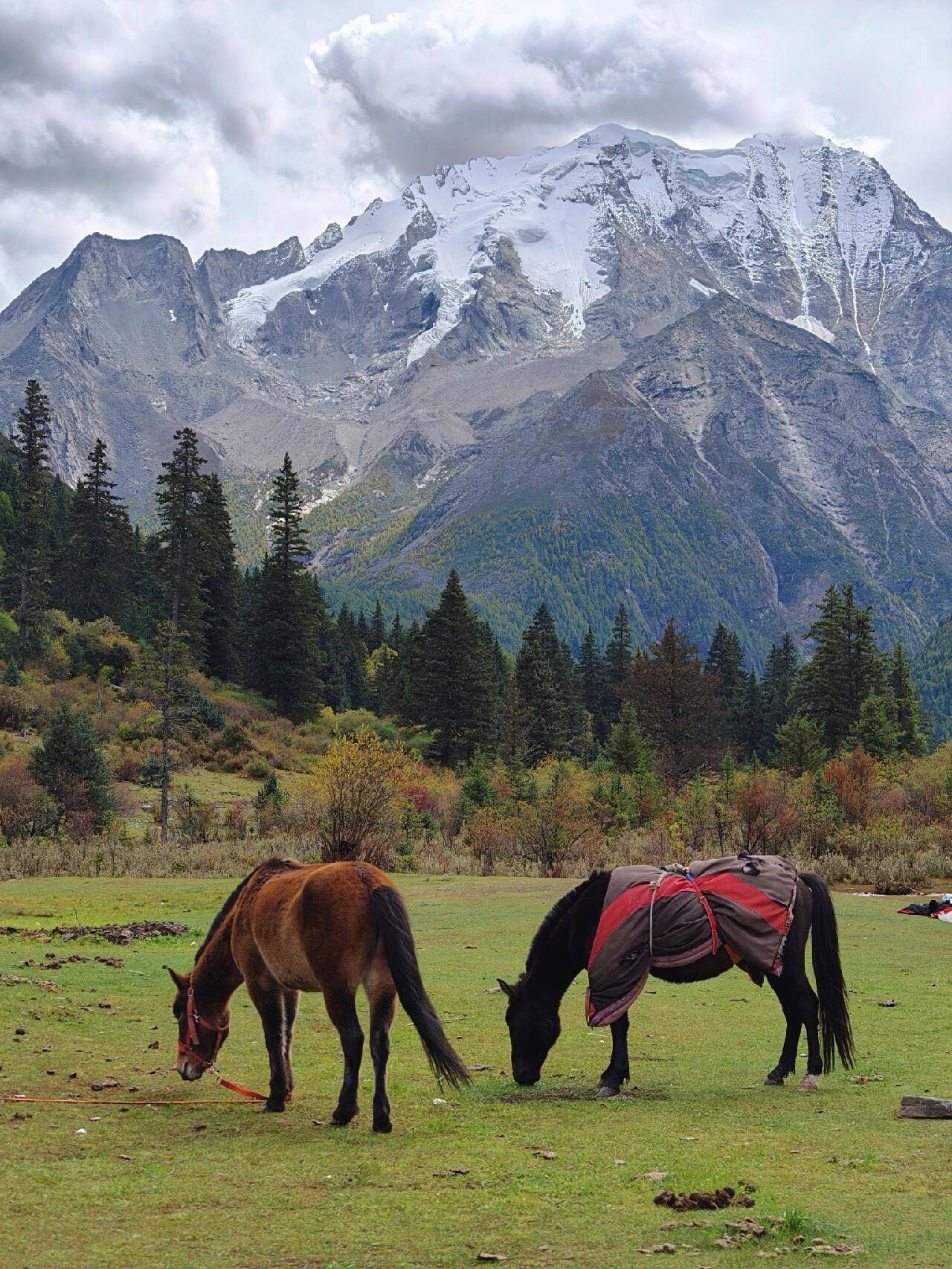 12月九寨沟旅游全攻略：冬季美景、门票和路线安排Binance Casino - 领先的数字货币娱乐场，安全稳定，极速存取