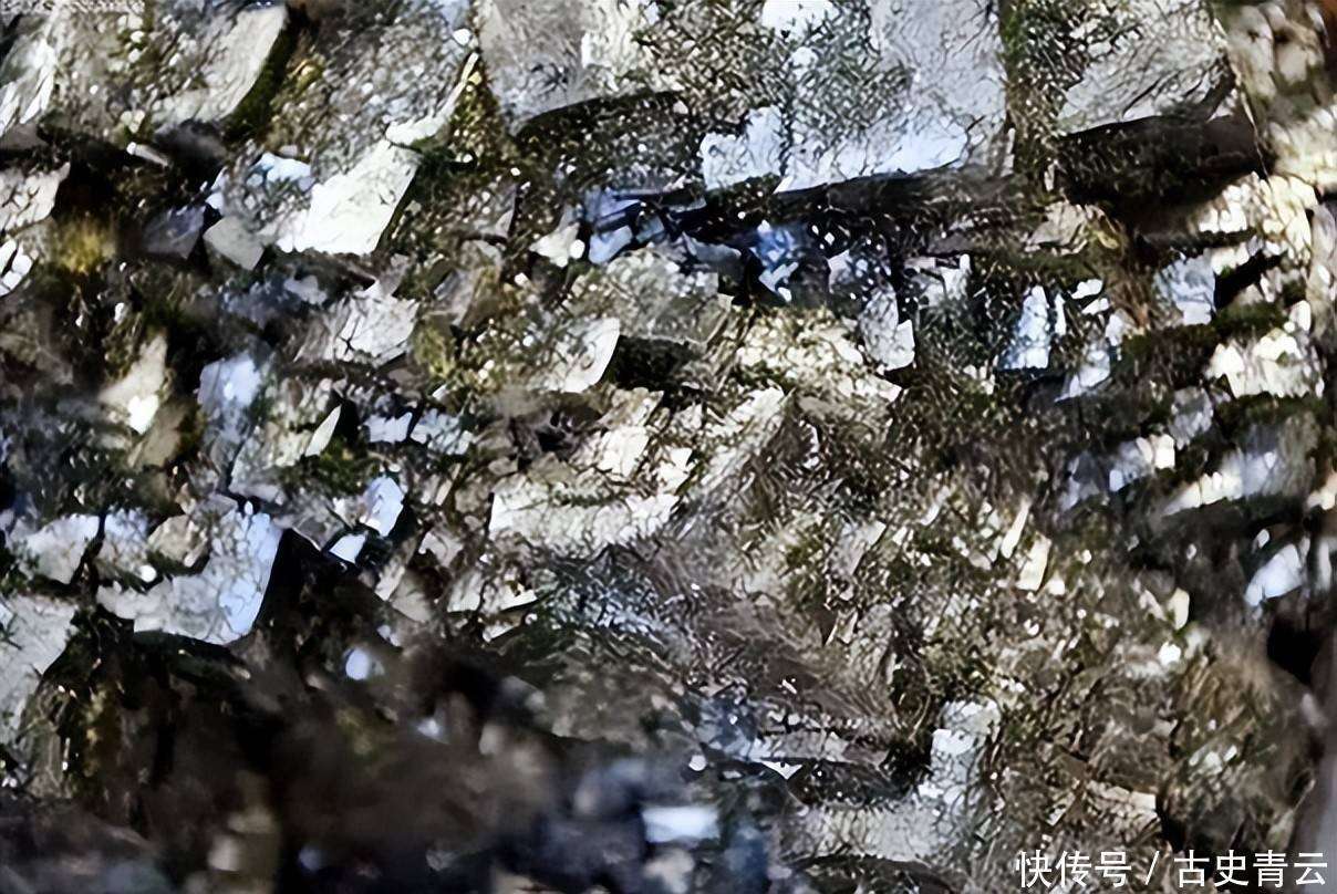 原创             稀世珍宝再现我国，多国想用先进技术来换，都被我国逐一拒绝