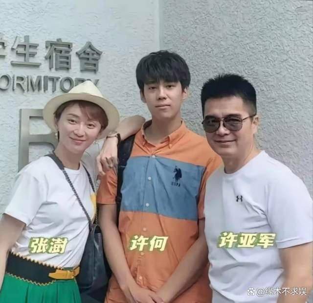 何晴去世更多细节公开，被曝手术后智商像儿童，许亚军被骂薄情！