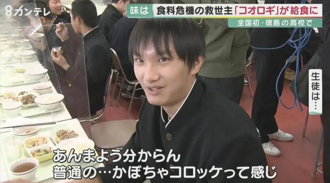 原创             欧美强推的“人造肉”，彻底败退中国