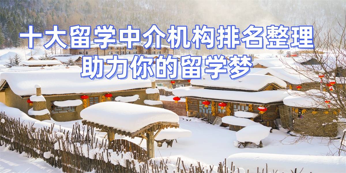 乐鱼体育- 乐鱼体育官网- APP世界杯指定平台2025南京留学中介TOP10权威榜单深度揭秘