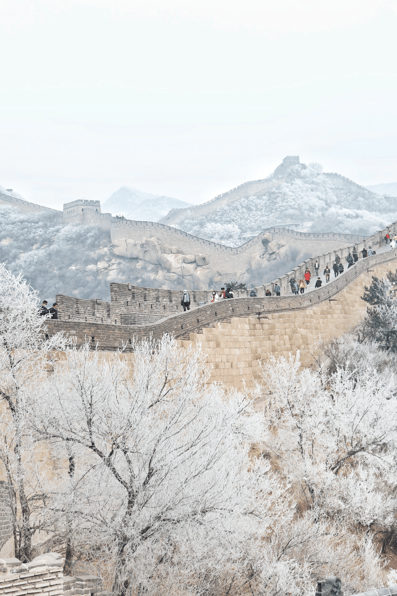 石家开云体育- 开云体育官方网站- APP 最新2025庄出