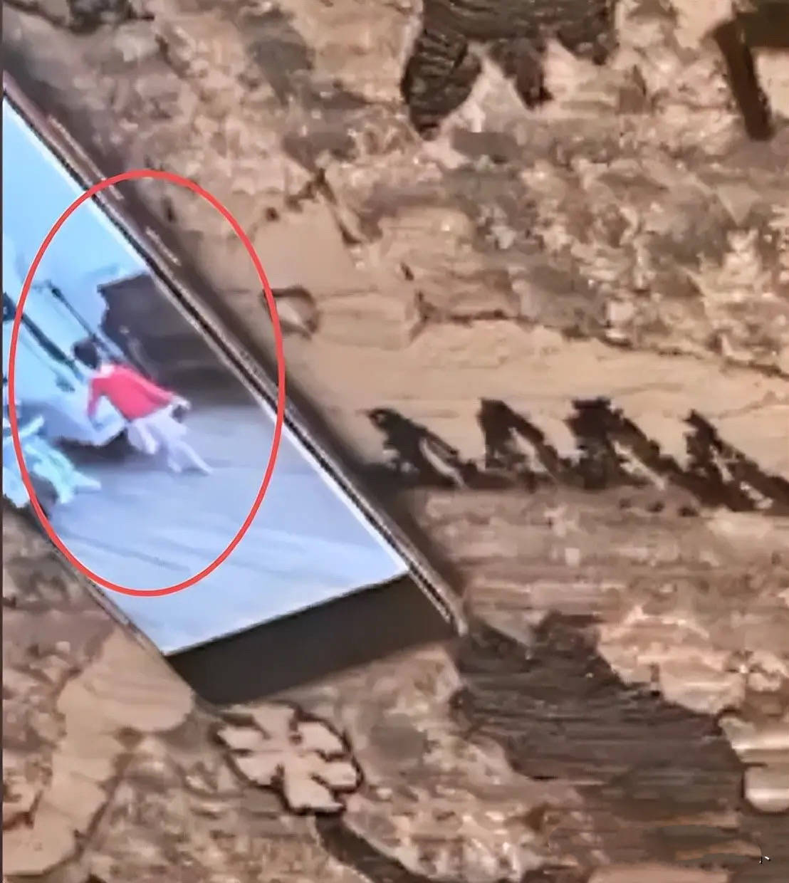 35岁郑爽现状曝光:脸又肿又僵没了灵气,养狗为伴生存成难题