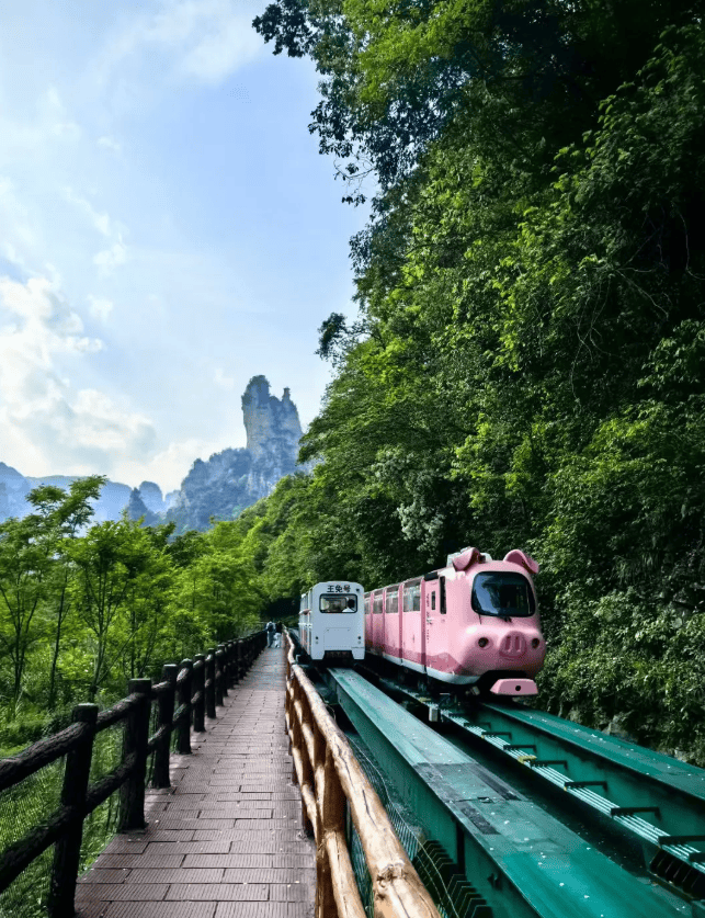 “从南京出发张家Binance Casin