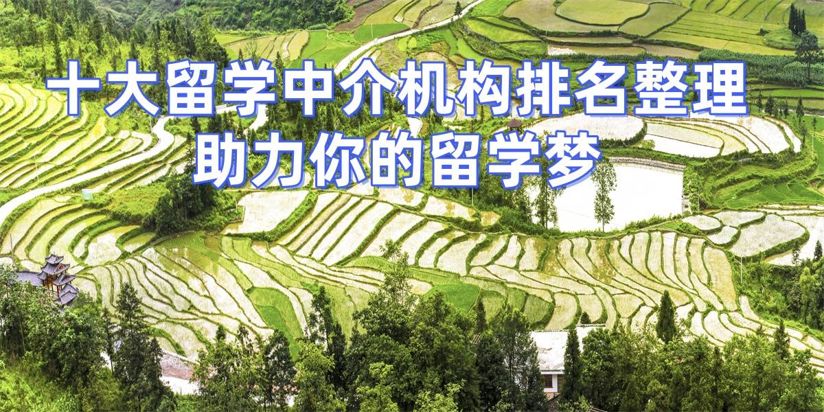 2026重庆出国留学中介公司排名前十乐鱼体育- 乐鱼体育官网- APP世界杯指定平台