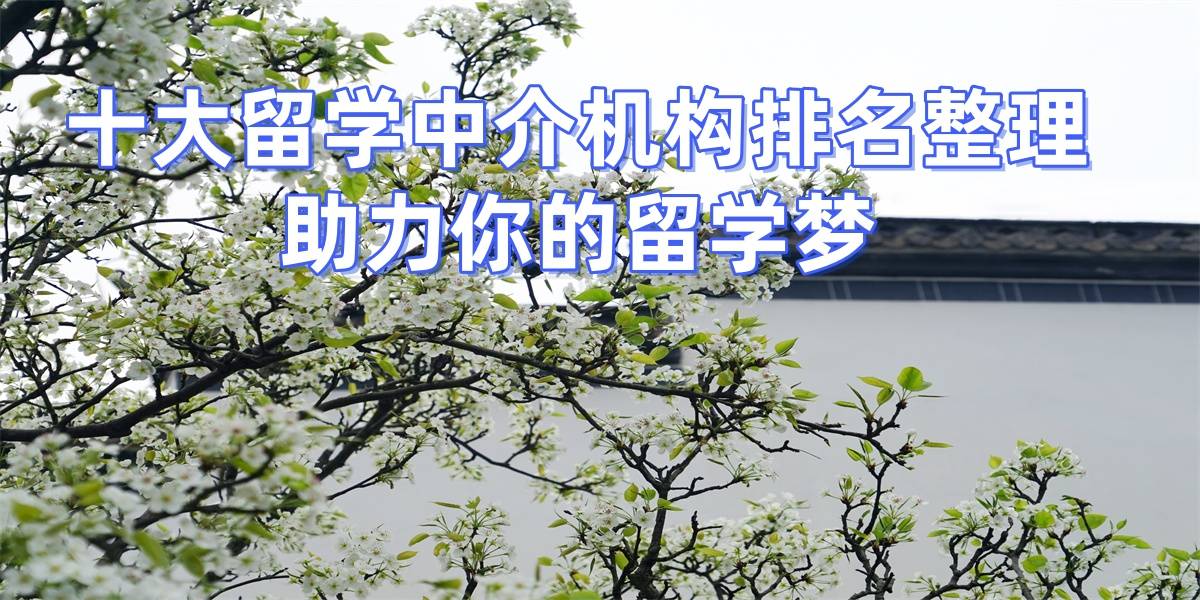 郑州硕士留学机构排名：性价乐鱼体育- 乐鱼体育官网- APP世界杯指定平台比高机构全推荐