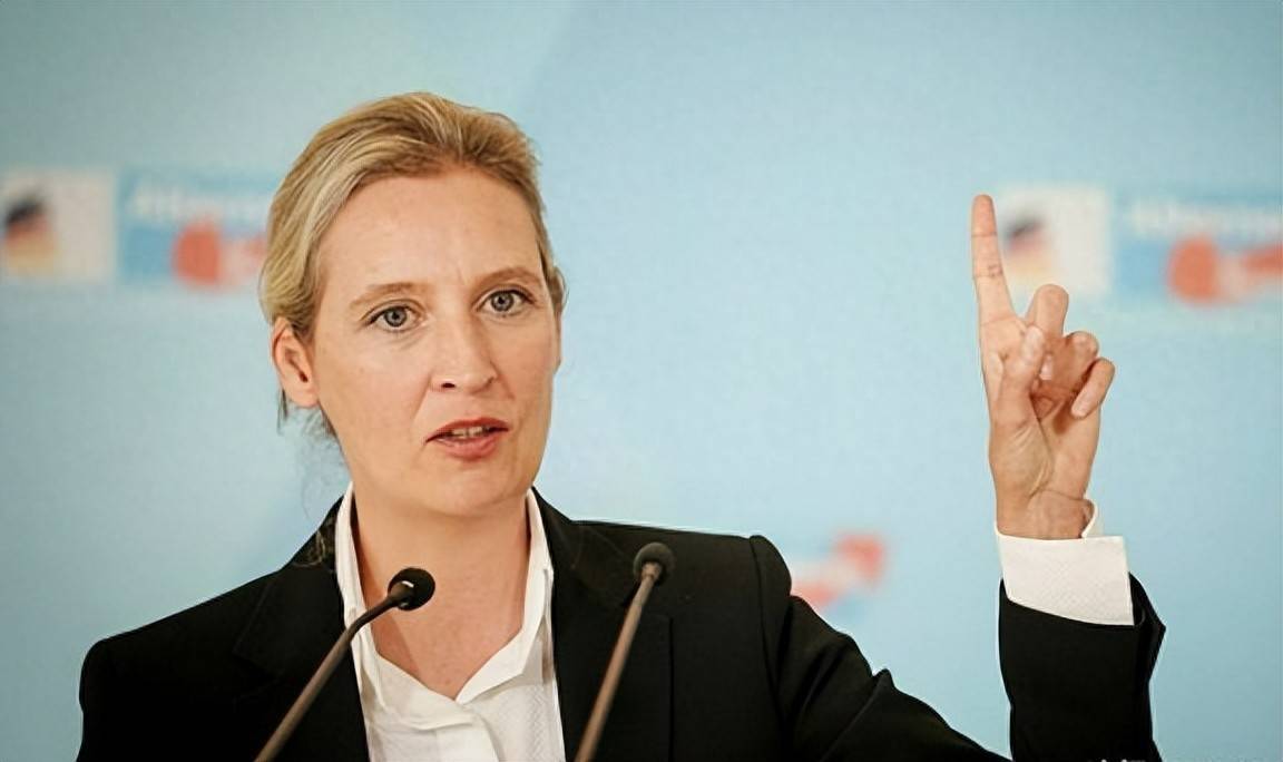 魏德尔的惊人蜕变：从亲俄变成亲美更务实了四年后或圆总理梦OD体育官方网站- OD体育APP