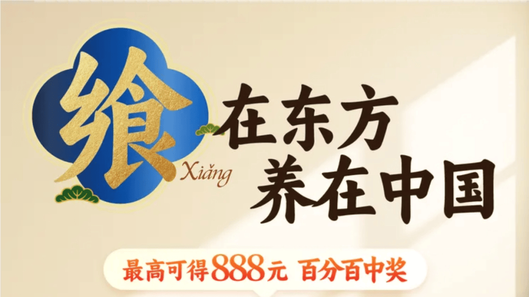 一物一码赋能!比乐联袂纳宝科技开启宠物美食之旅引颈数字风潮打制爆款新品