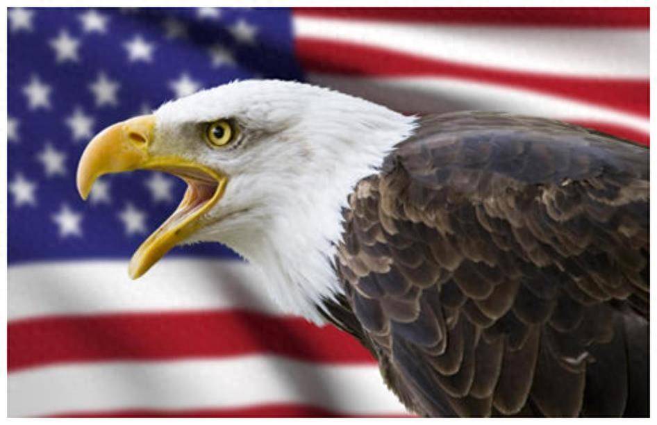 这才是真正降维打击！中国开启暴兵模式，活成了美国最羡慕的样子