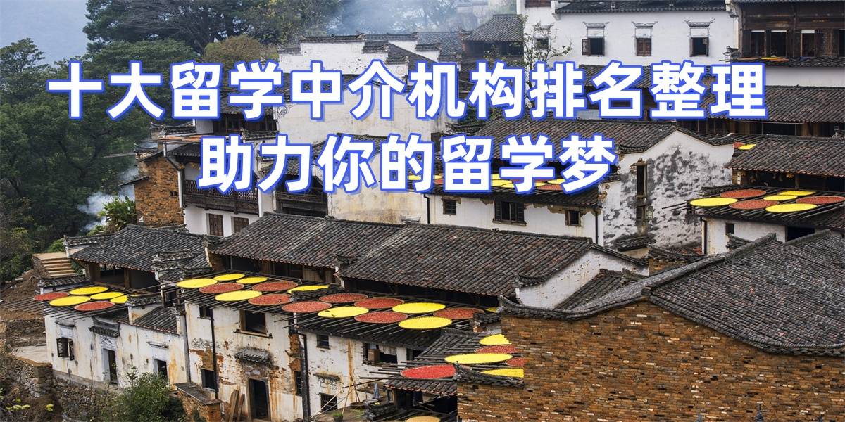 武汉乐鱼体育- 乐鱼体育官网- APP世界杯指定平台硕士留学中介十强盘点！性价比高服务全解析