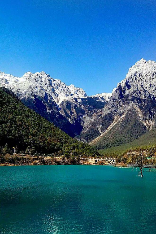 6云南正规十强旅行社纯玩避坑指南请查收j9国际站登录云南旅行社红黑榜｜202(图2)