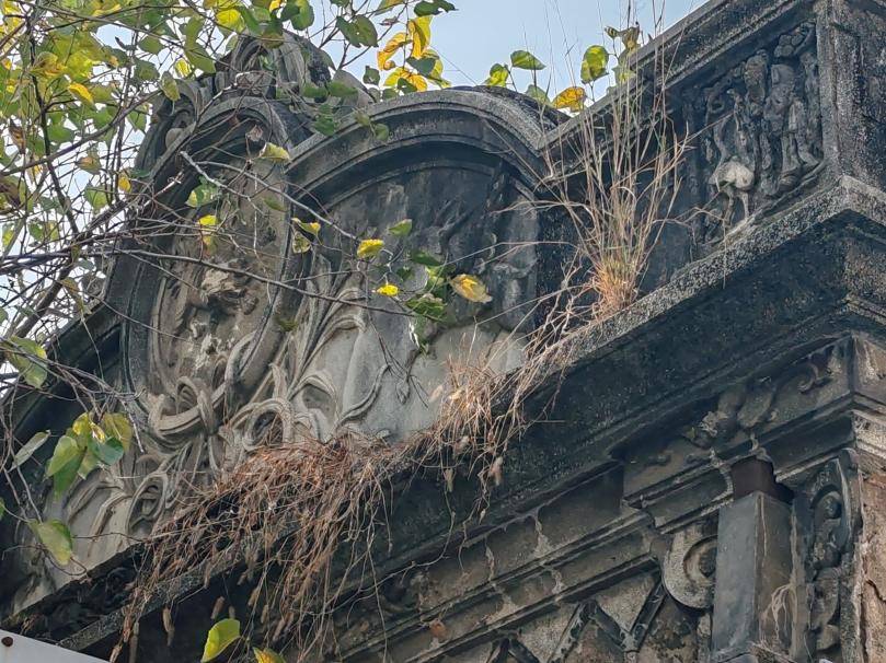 乐鱼体育- 乐鱼体育官方网站- 世界杯指定平台LEYU SPORTS三十载修缮守护一朝面临无家可归 