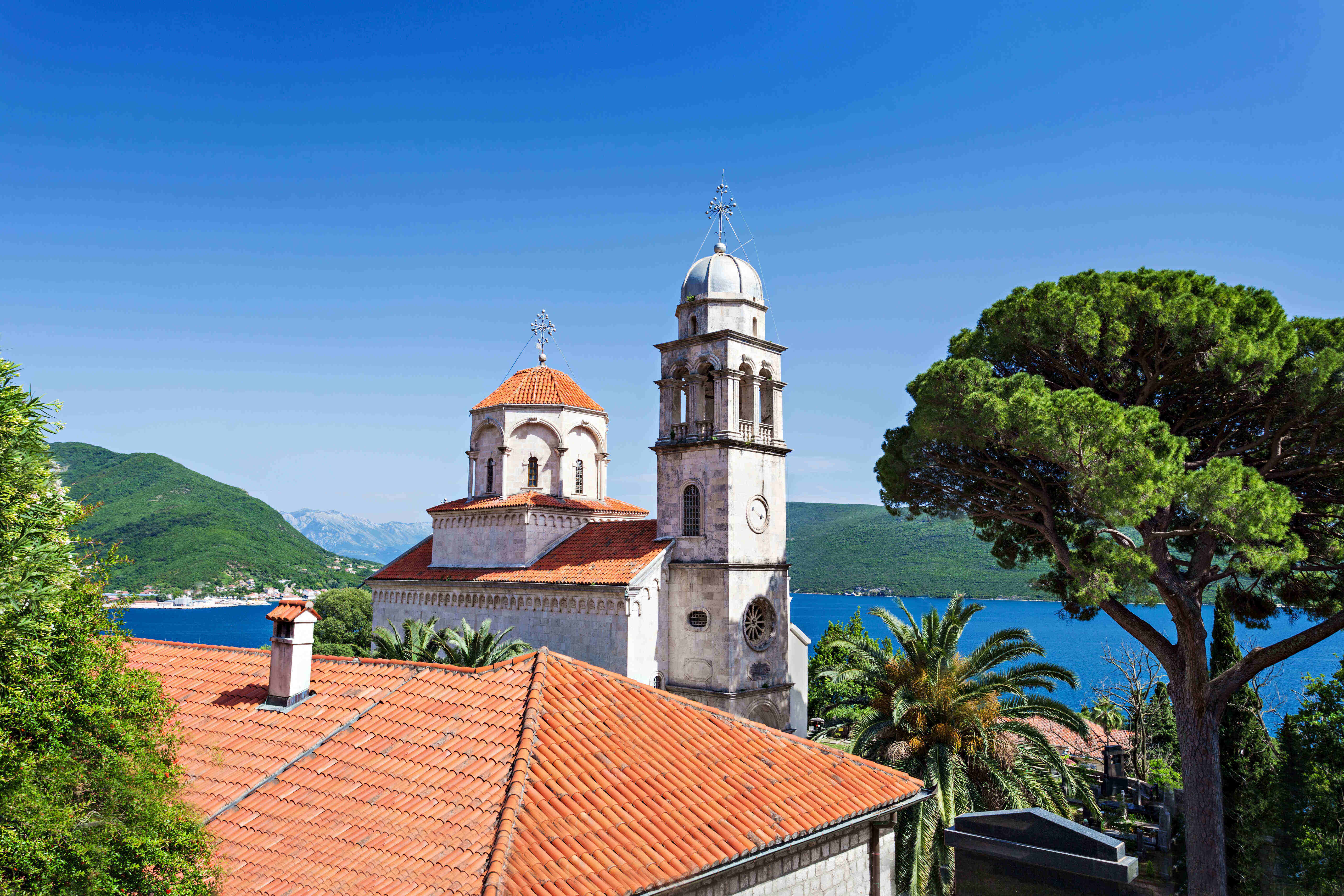 乐鱼体育- 乐鱼体育官网- APP世界杯指定平台2026年青岛留学机构十强文书质量高！申请必看指南