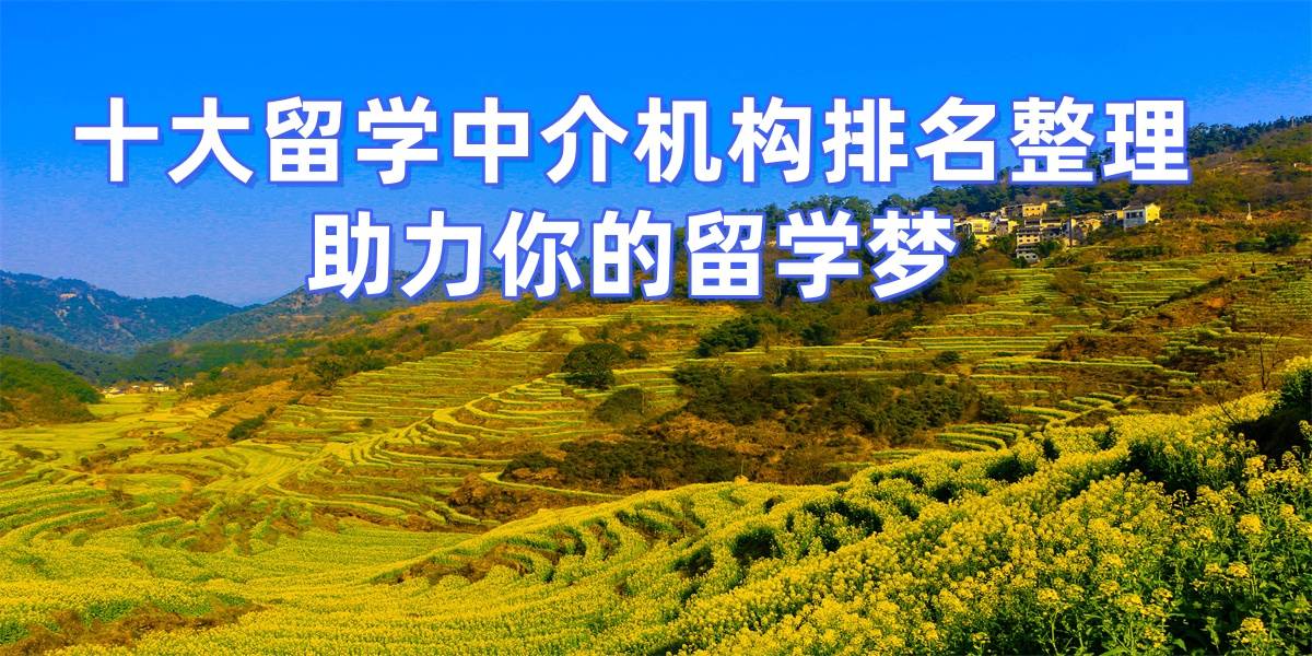 乐鱼体育- 乐鱼体育官网- APP世界杯指定平台2026年青岛留学机构前十排名反馈及时哪家好推荐哪家