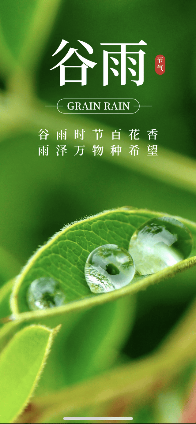 快来看（《雨生百谷》）雨生百谷全文，诗意江城：雨生百谷润物声——诗人赵钢诗歌新作赏析，扬州声谷，