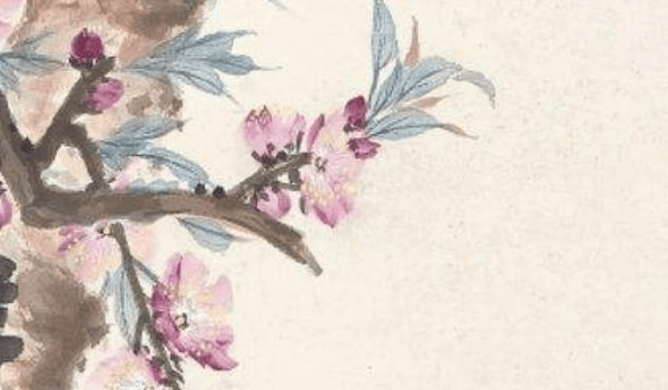 2026年属蛇男2026年财运怎么 2026年属蛇财运如何？