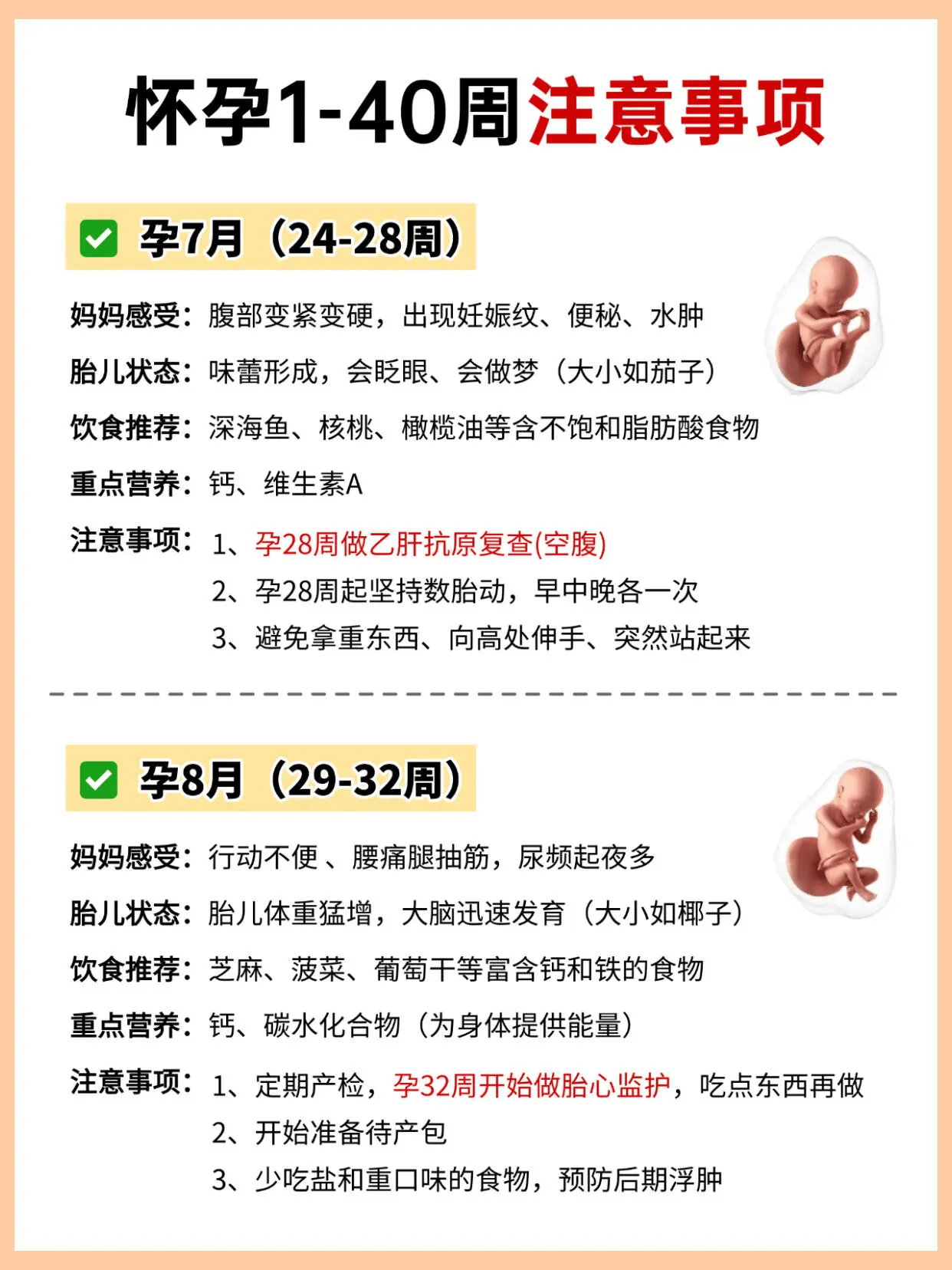 怀孕1-40周胎儿发育!新手孕妈实用攻略
