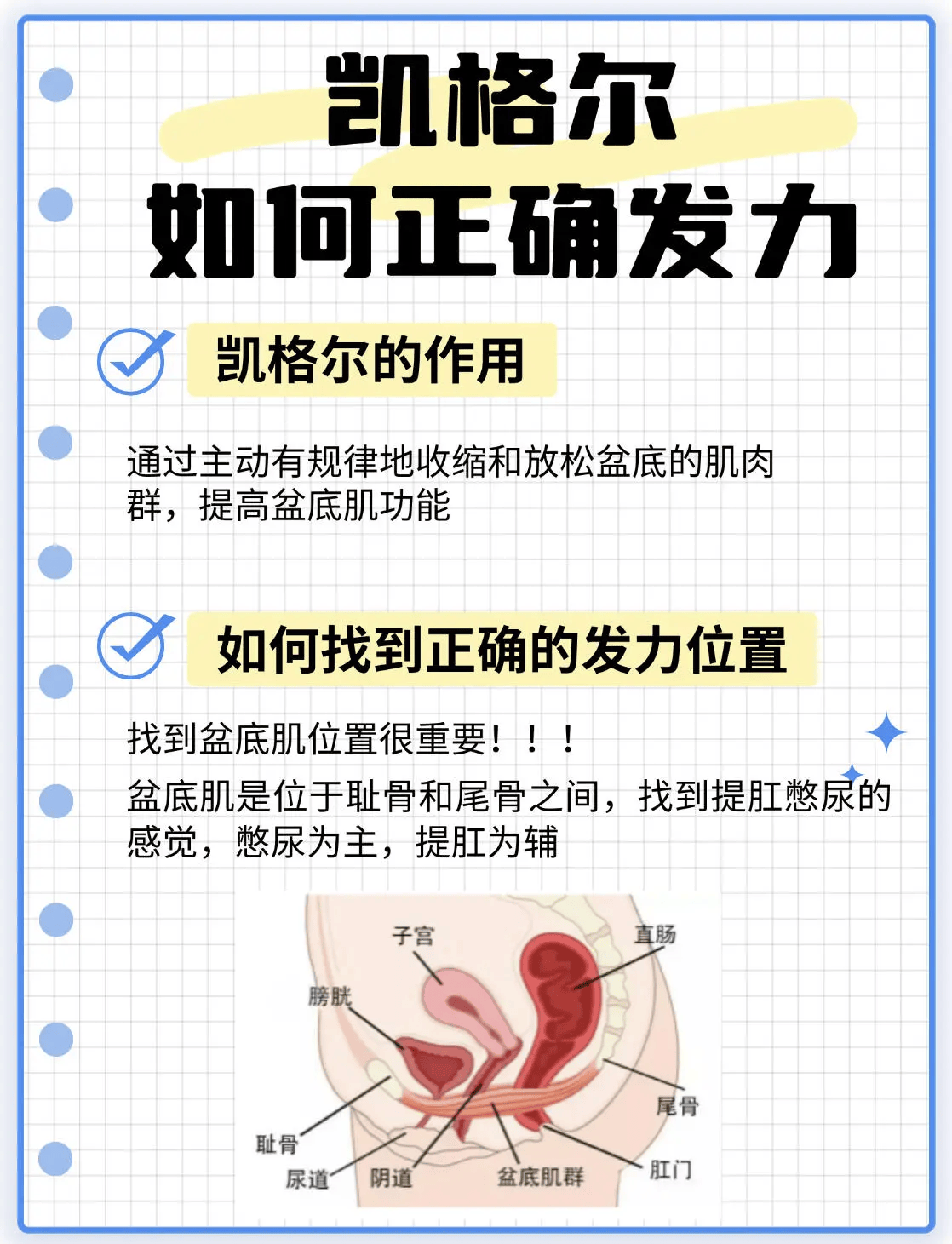 产后修复攻略:凯格尔如何正确发力?