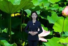 人脉的真正含义 | 新黄河AI晚读