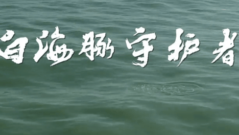 “海里的大熊猫”白海豚守护者 | 向野而生