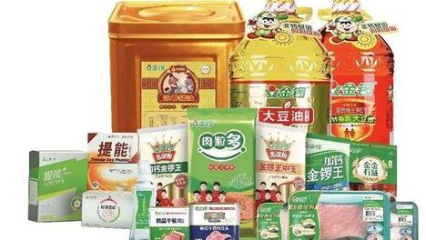金锣深度参与“研究院+X”健康肉制品专场,共促健康肉制品产业高质量发展