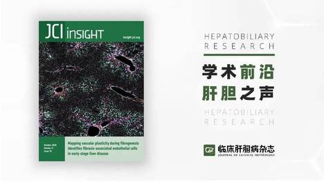 学术前沿｜JCI Insight：靶向S100A9是酒精性肝病的潜在治疗策略