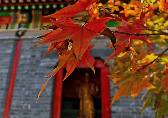 f1ba1a4b0d814aee9fac85fa77947371