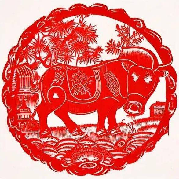 当地回应贵州一高架大桥垮塌