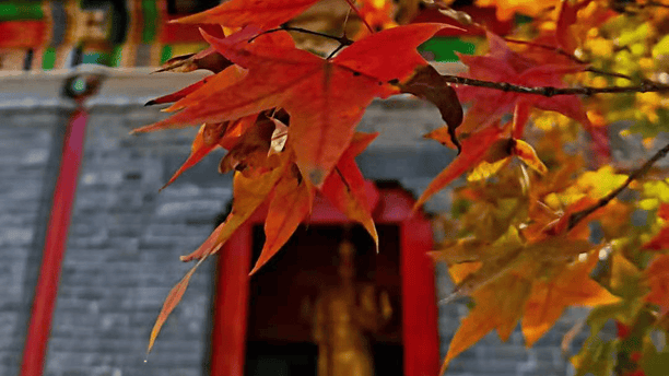 中央气象台暴雨预警多地将受影响