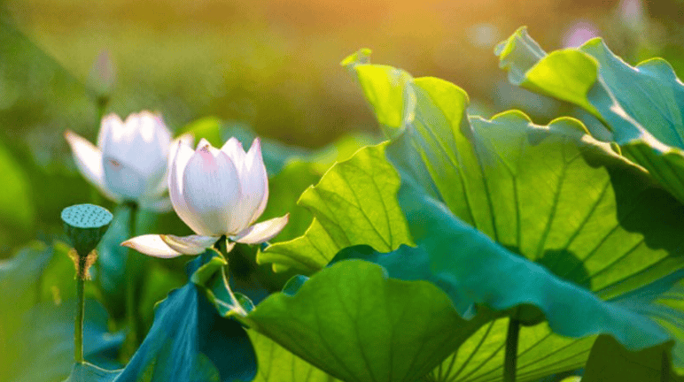 被李艺彤近距离美貌暴击了