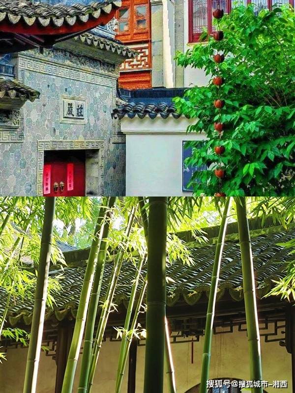 6月份去上海旅游四天三晚自由行攻略，攻略及费用