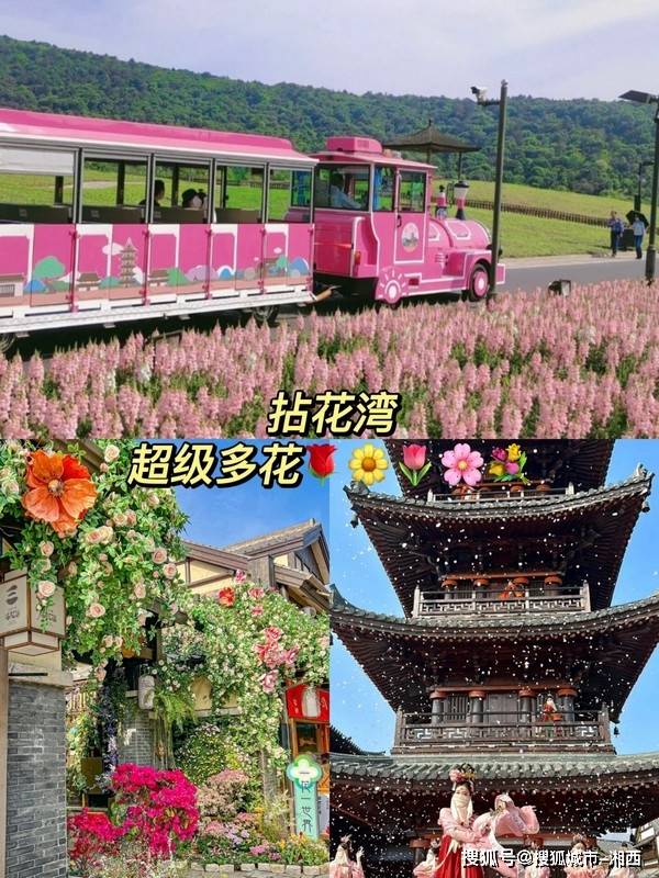 6月份去华东五十旅游6日游攻略，看完从此不迷路