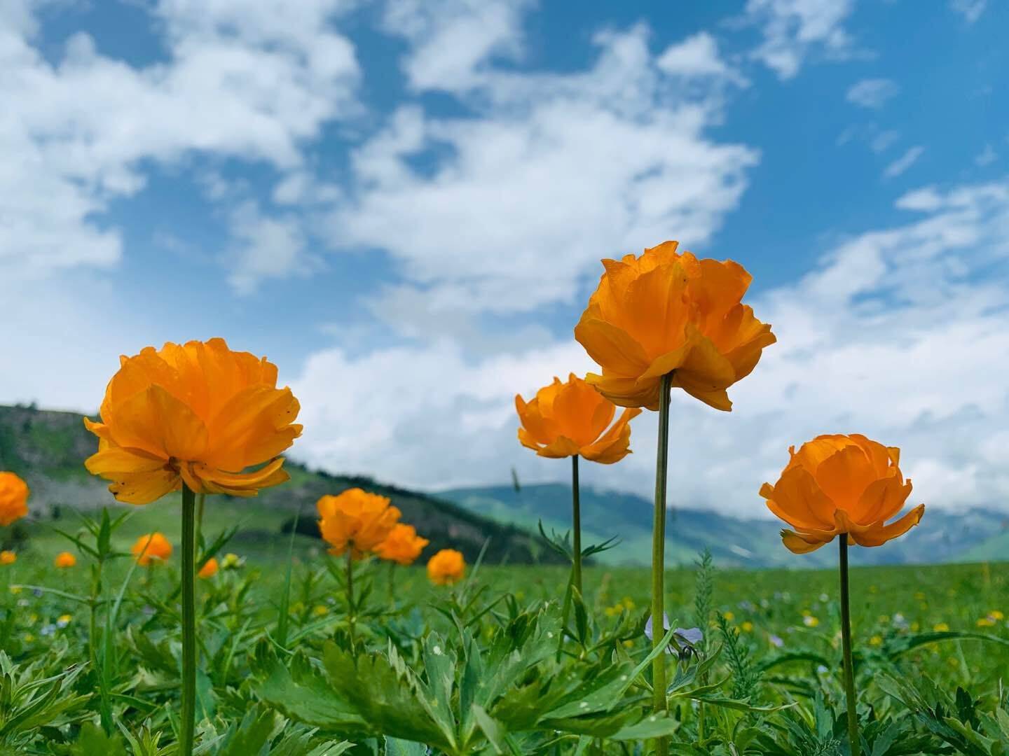 🌸【澳门今一必中一肖一码一肖】🌸_【生态资讯】4月贵州城市环境空气质量：平均优良天数比率同比上升