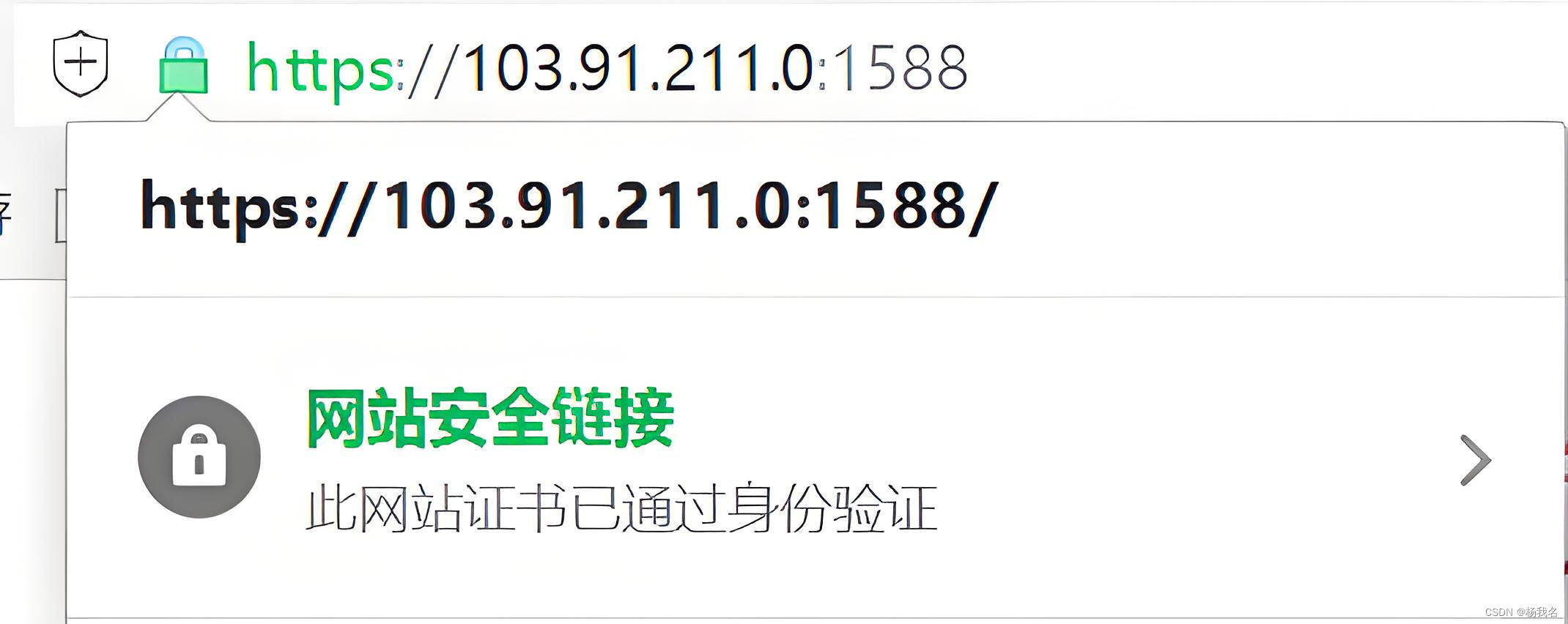 https网站使用公钥访问