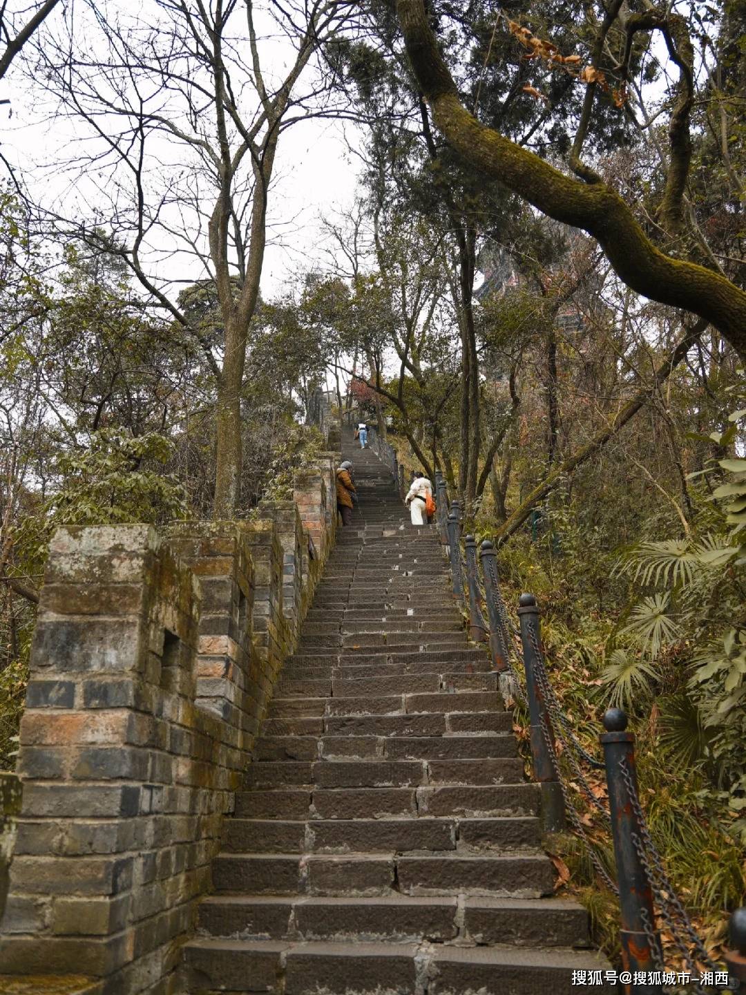 九寨沟旅游攻略自助游，九寨沟旅游攻略及费用多少，看完就知道了