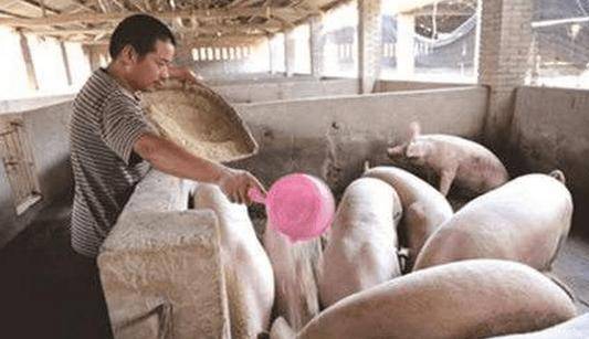 “变废为宝”何时完？农村养殖环保问题又被提，散养户再遇困难