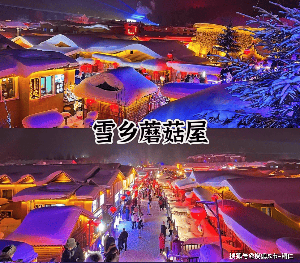 哈尔滨雪乡旅游攻略五天四晚，2024雪乡旅游攻略纯干货