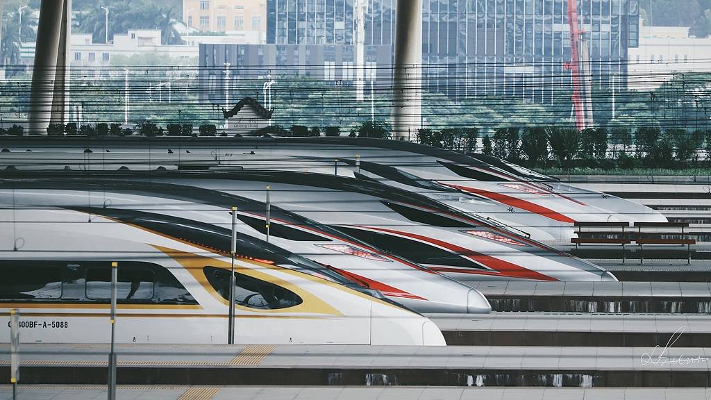 高铁机械师处理故障被撞身亡，野猪之外还有疑问