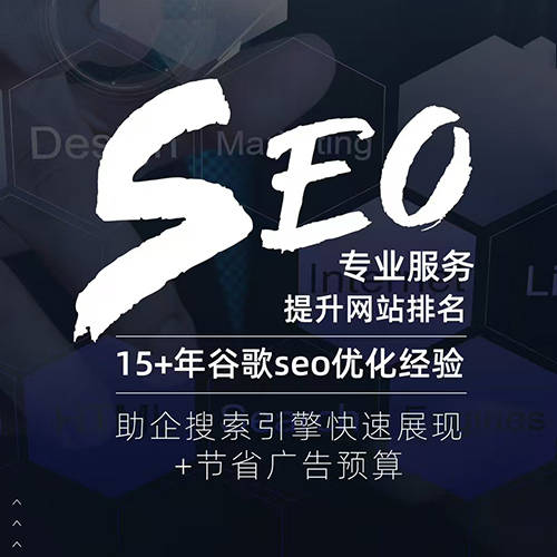 推动业务持续增长的有力引擎。众里寻他：专业铸就外贸网站建设卓越品质1. 深厚积淀的 seo 专业能力