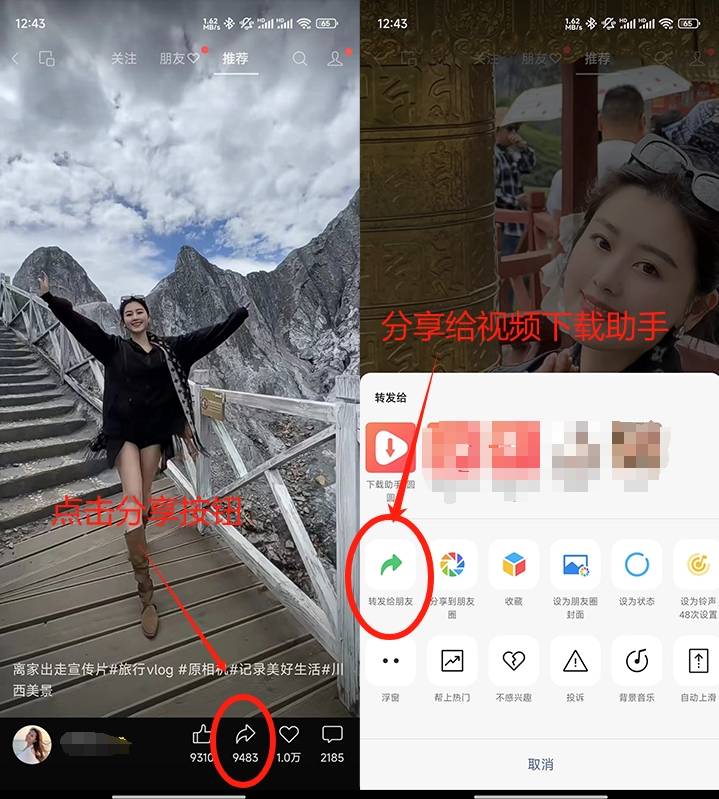视频号下载终极指南：5种方法一键存相册，iOS/安卓全适配