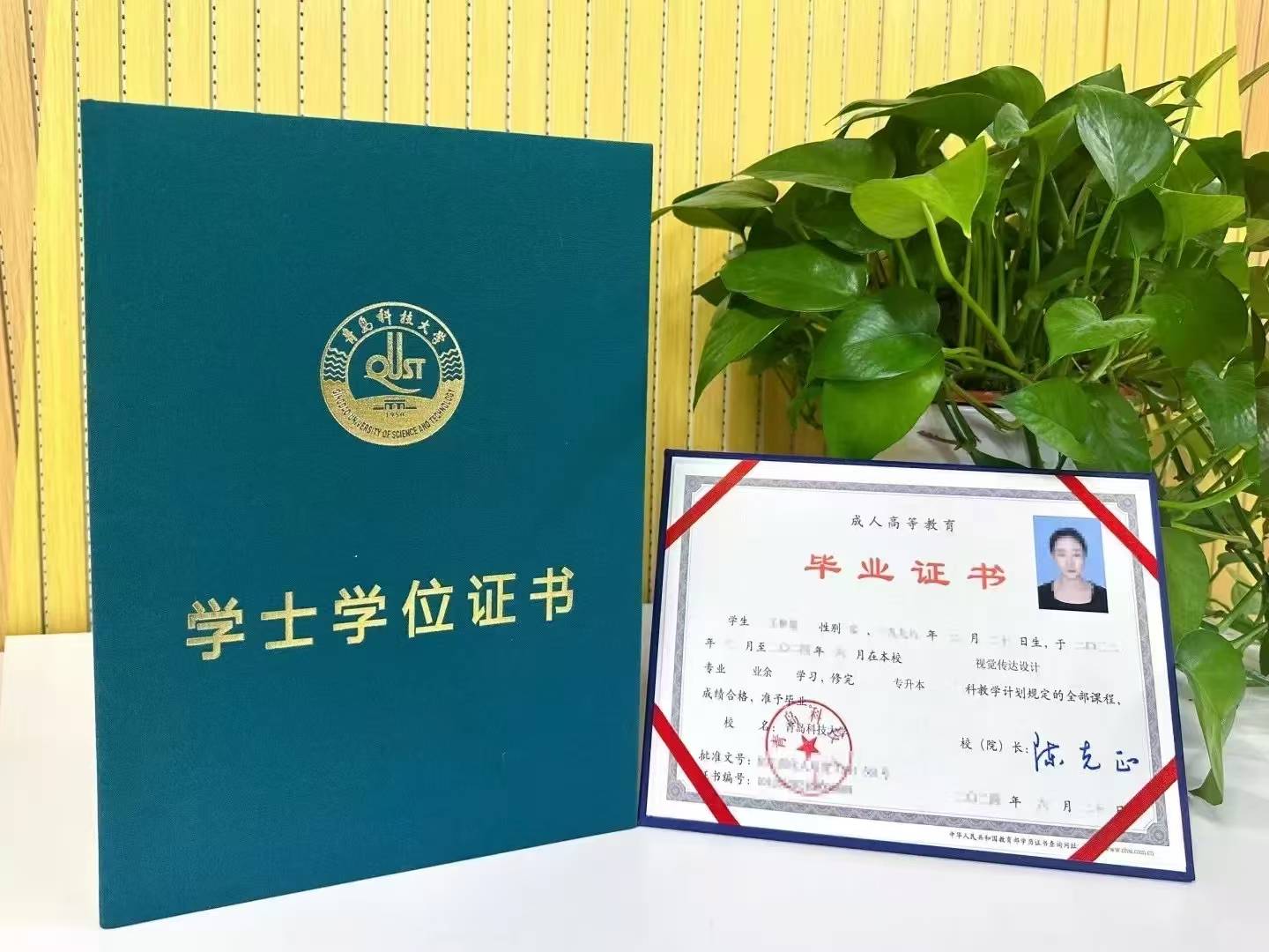2025青岛科技大学成考招生简章核心框架解析与报考策略建议