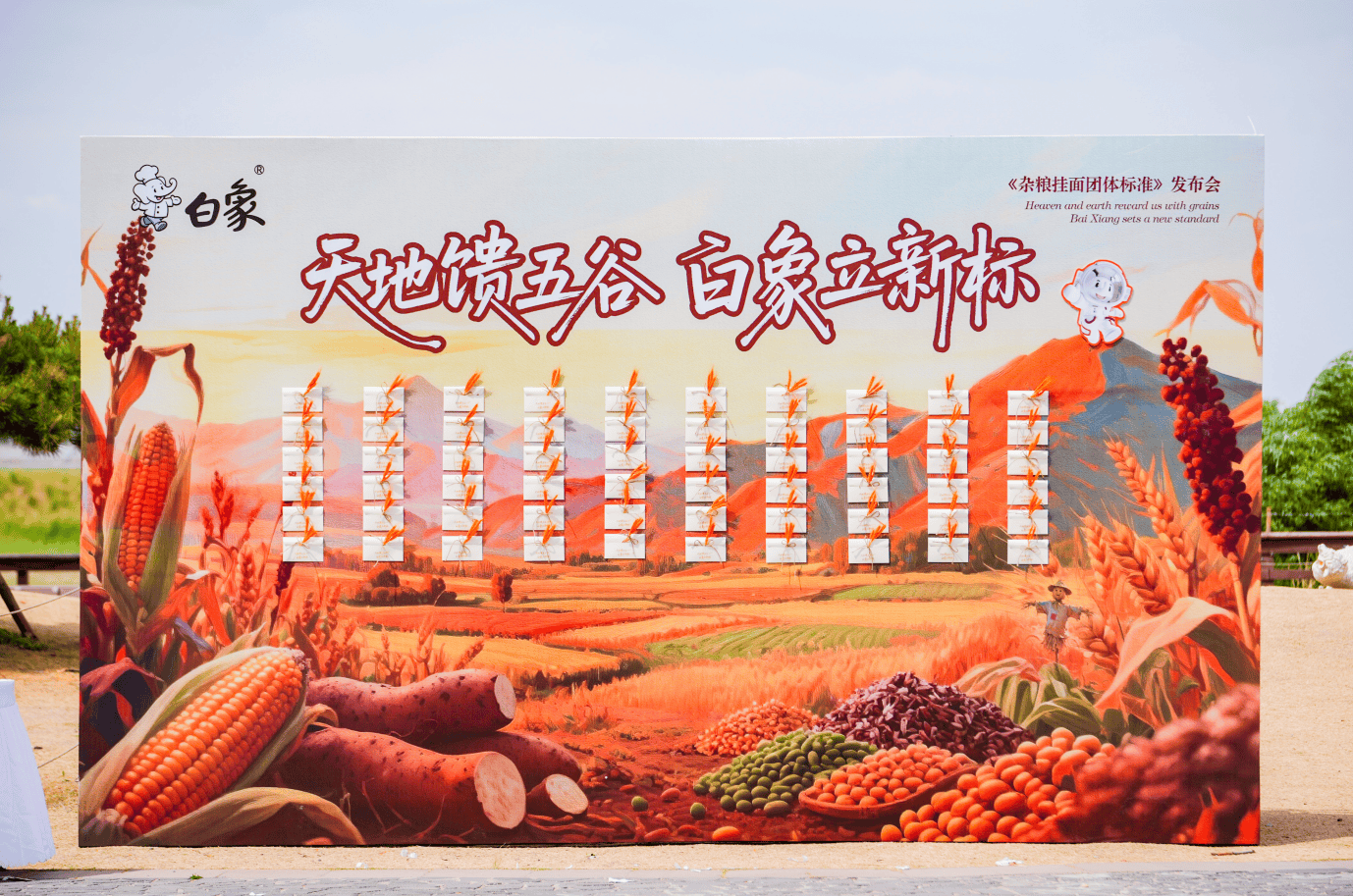 从“吃饱”到“吃好”：白象提交引领主食健康升级的行业答卷