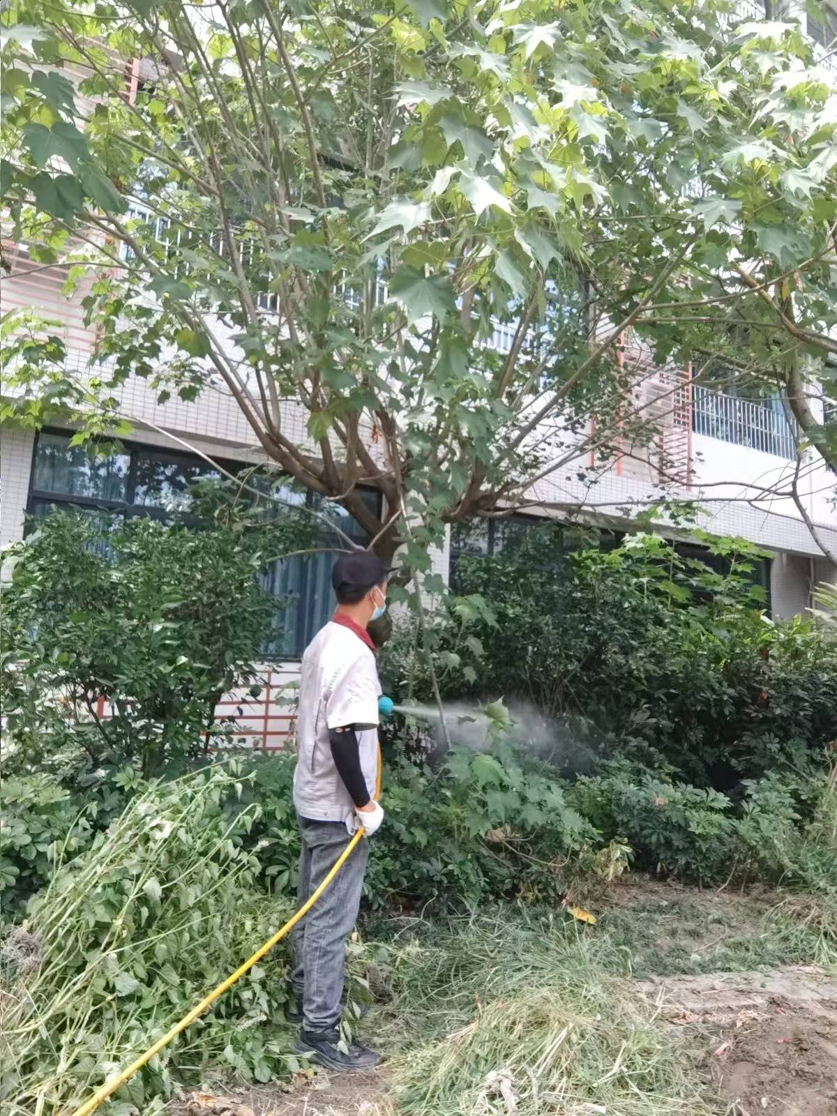 靠谱的成都仁民有害生物防治服务有限公司：灭杀老鼠,鼠防治服务,老鼠治理,灭老鼠,上门除老鼠服务推荐