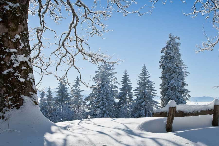 华体会- 华体会体育官网- 体育APP下载王一珩巡演舞台设计