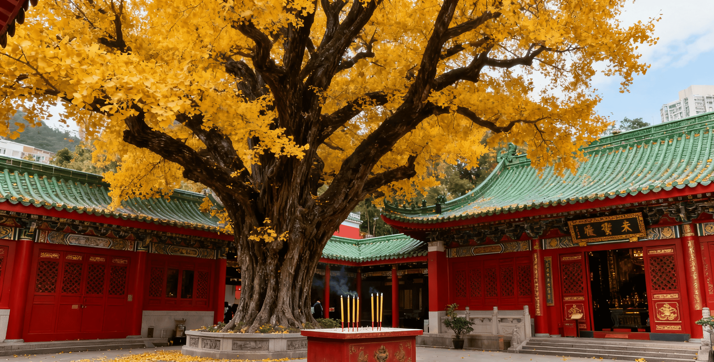 澳门十大必游胜永利皇宫- 永利皇宫官网- 娱乐城APP地打卡人气旅游景点不去会后悔