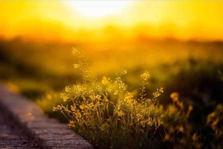 国际马拉松赛事促进健康生活方式在线体育博