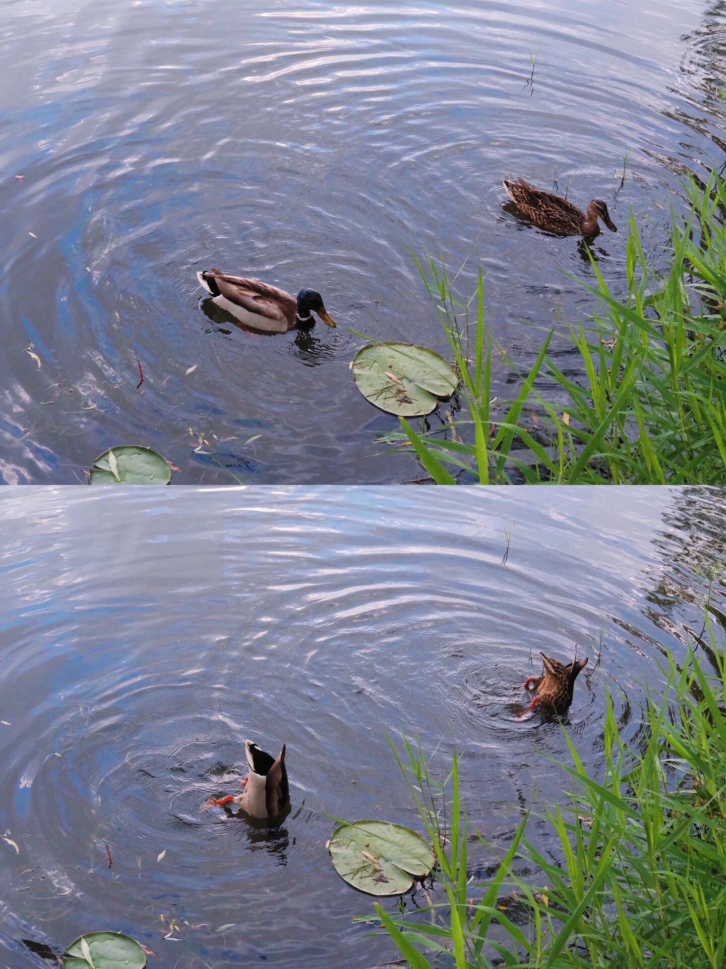 “Binance Casino - 领先的