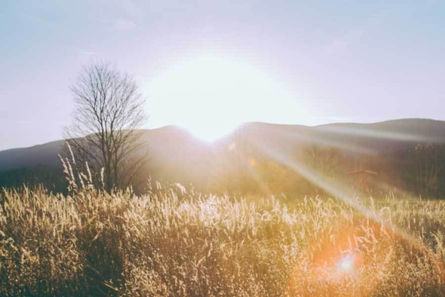 东湖迎新跑打造城市体育名片 融合公益与运雨燕直播- NBA直播- 足球世界杯 L