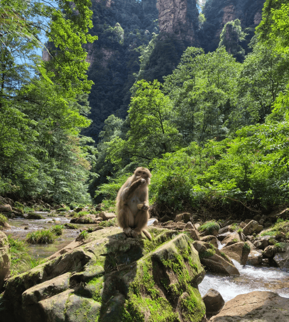 Binance Casino - 领先的