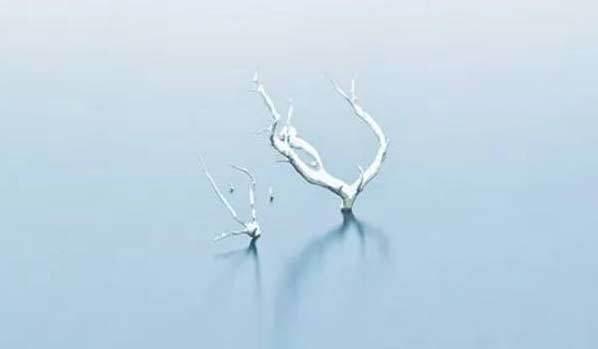 2026年属鼠2026年全年运势完整版 2026年属鼠感情运势如何